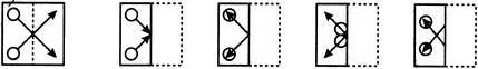7 Dup 3 -56548072